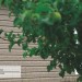 Сайдинг Ю-Пласт TIMBERBLOCK Пихта (Тимберблок) Cахалинская купить в Уссурийске