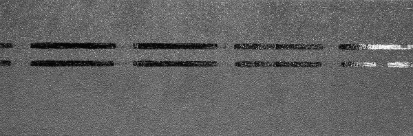 Коньково-карнизная черепица Docke Premium, черника купить в Уссурийске